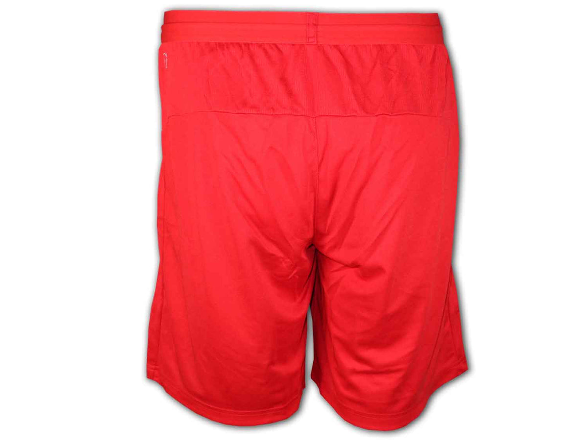 Puma Schweiz Fußball Short
