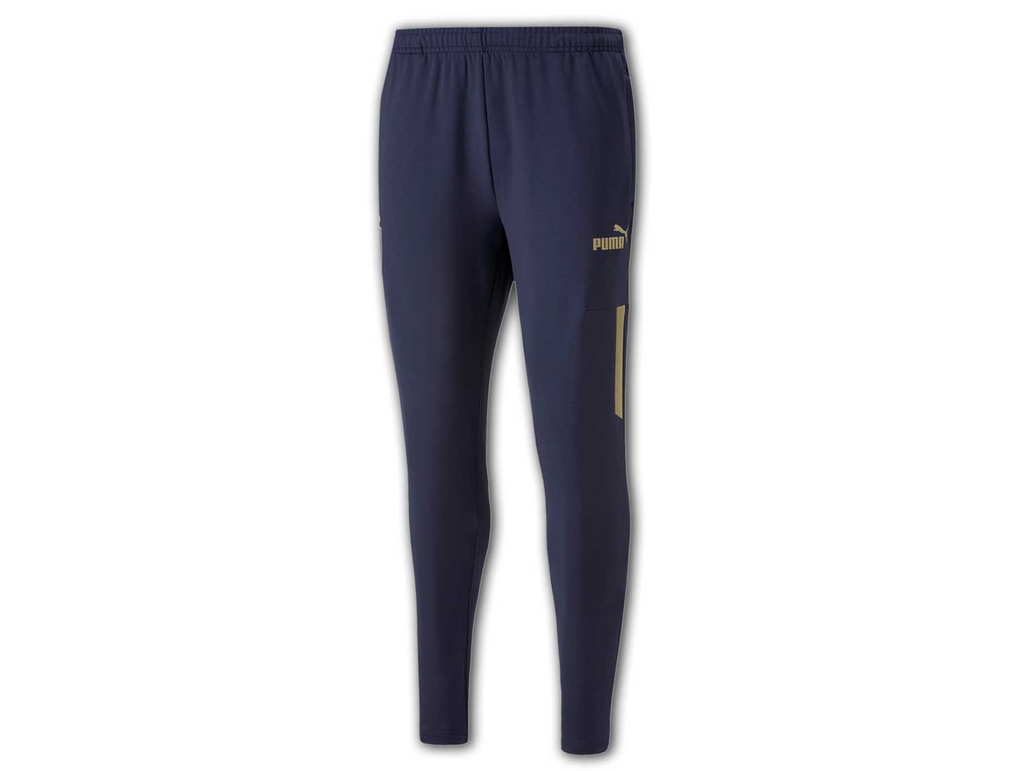 Puma FIGC Italien Prematch Pants