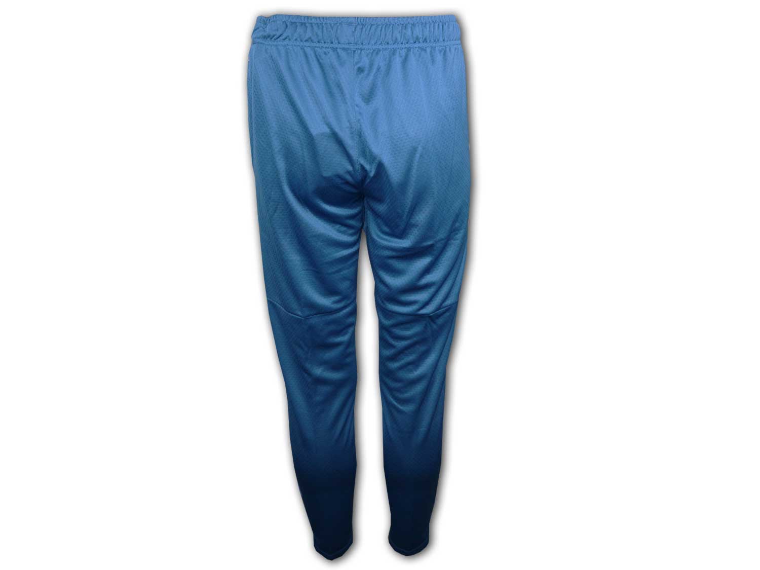Puma Manchester City Training Pants