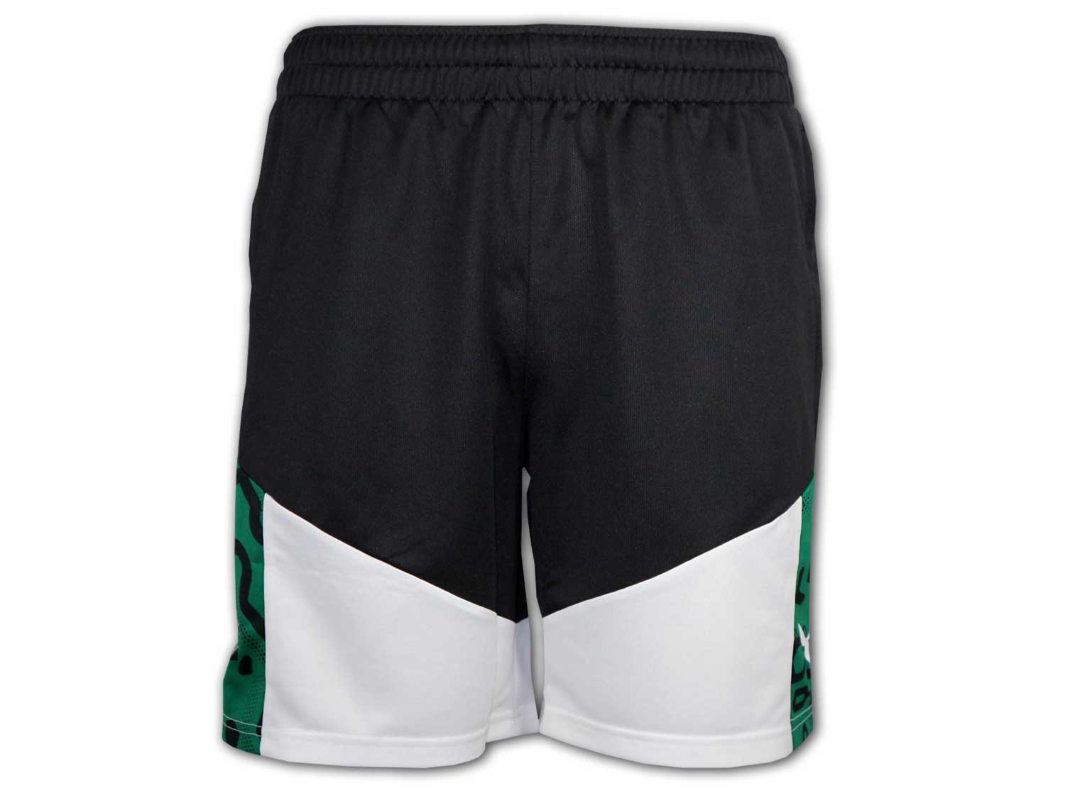Puma Borussia M´ Gladbach Training Shorts