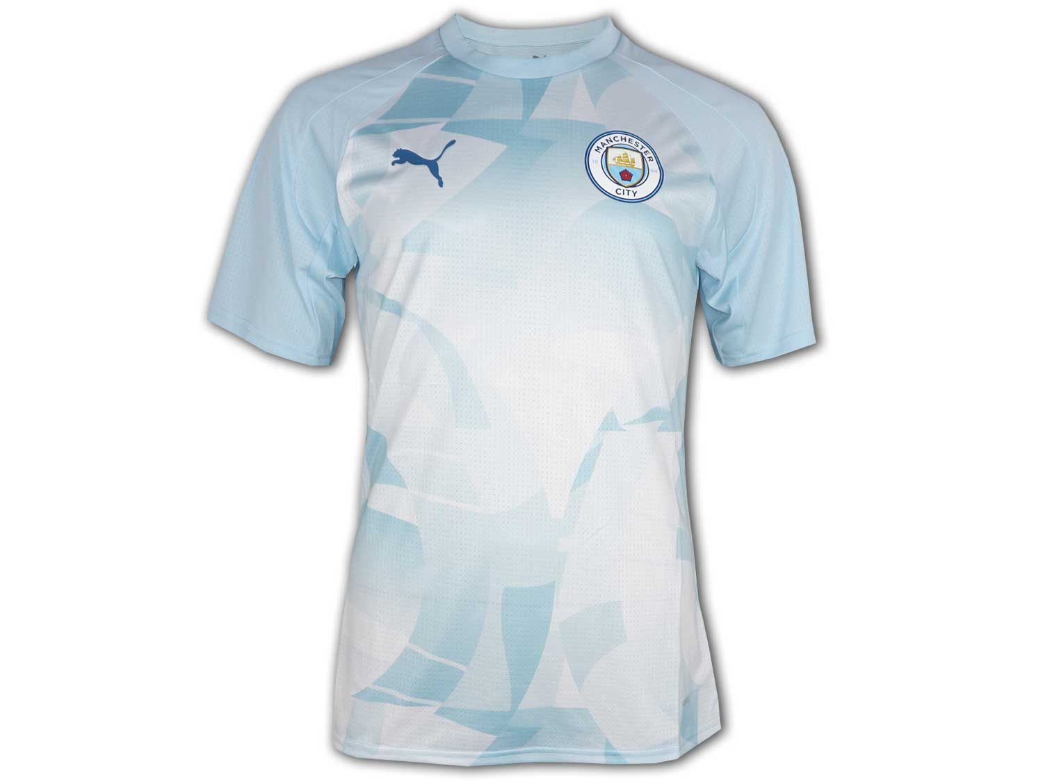 Puma Manchester City Prematch Jersey 23 24