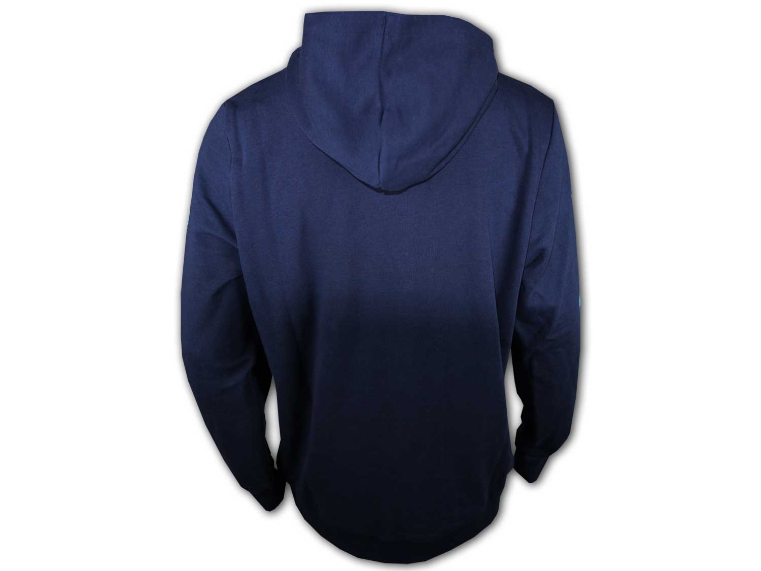 Puma Manchester City ftblicons Hoodie