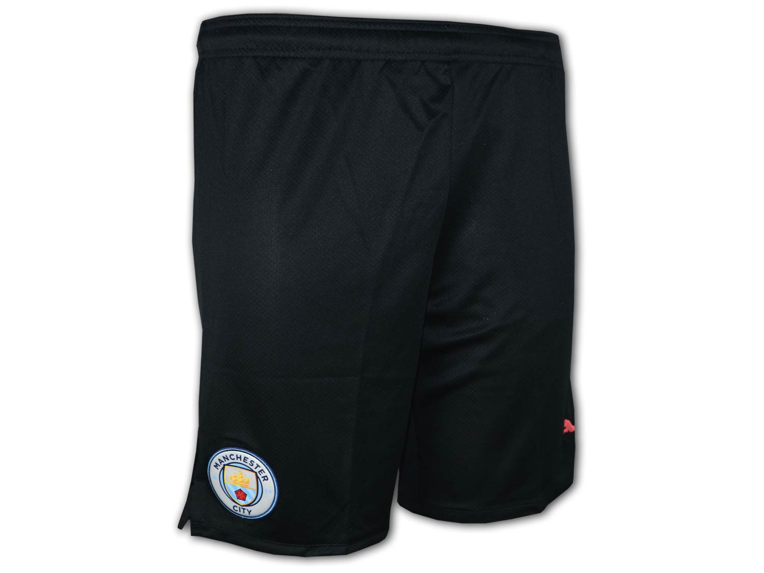 Puma Manchester City Short