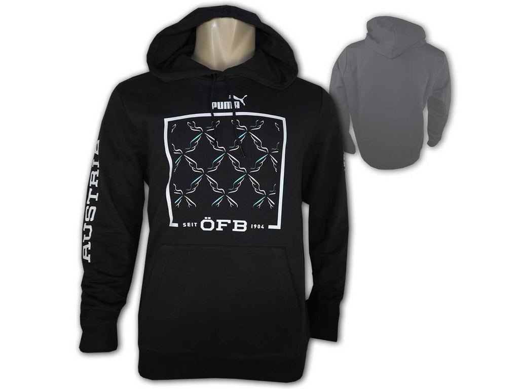 Puma ÖFB Ftblicons Hoody