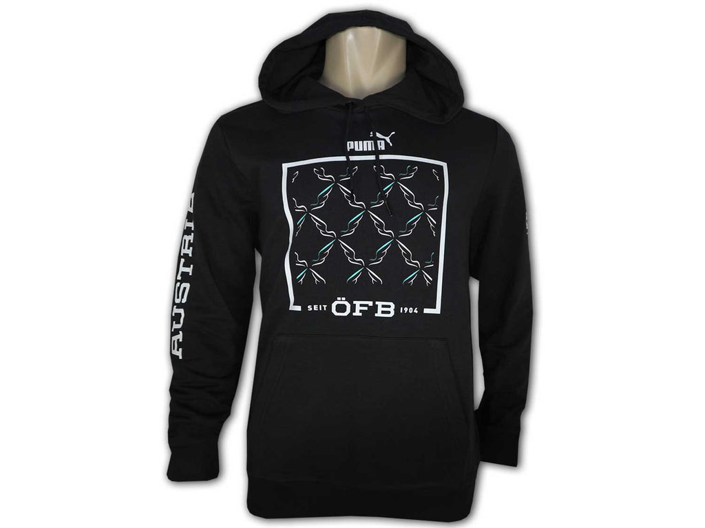 Puma ÖFB Ftblicons Hoody
