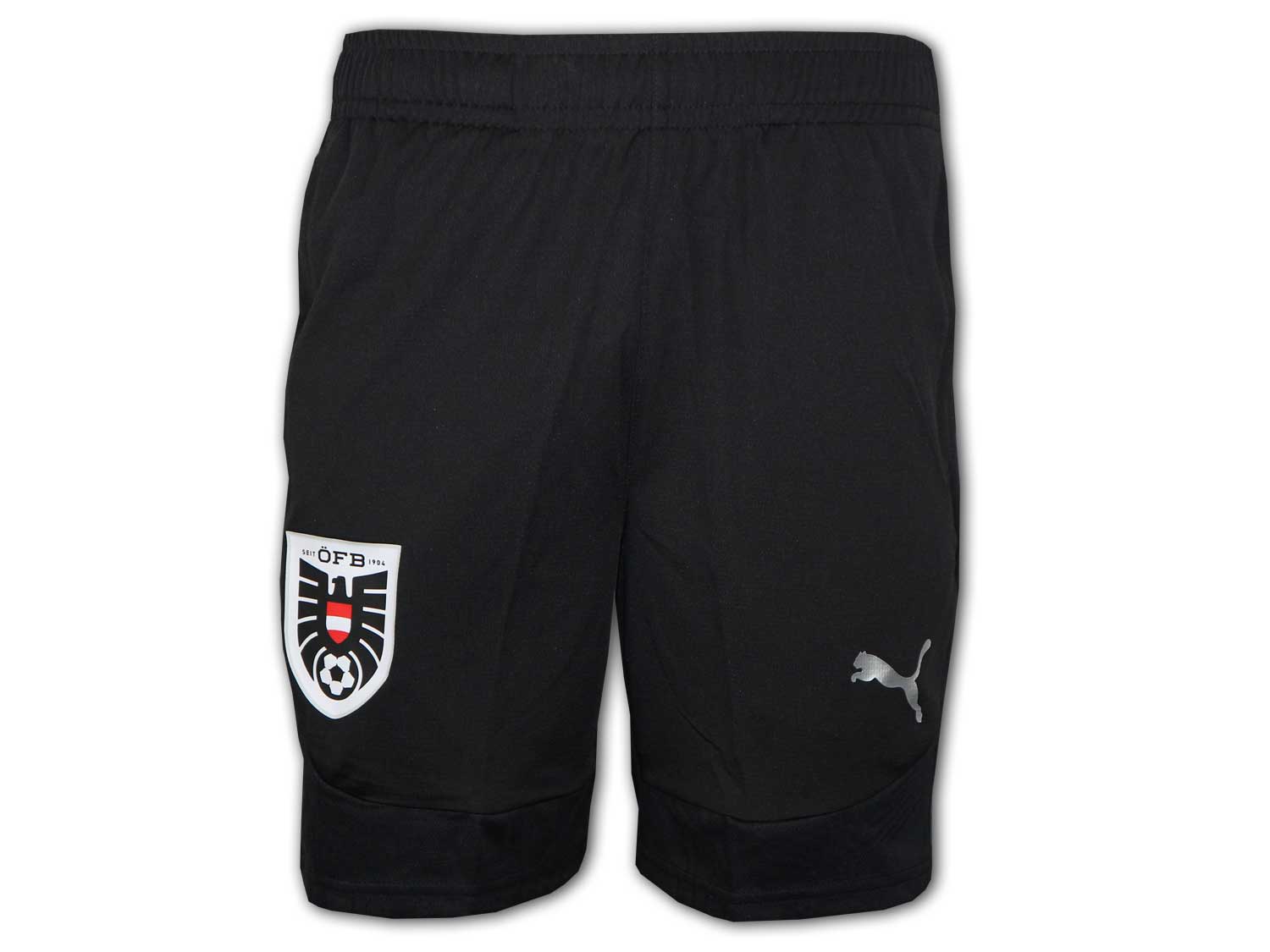 Puma ÖFB Österreich Training Shorts 24