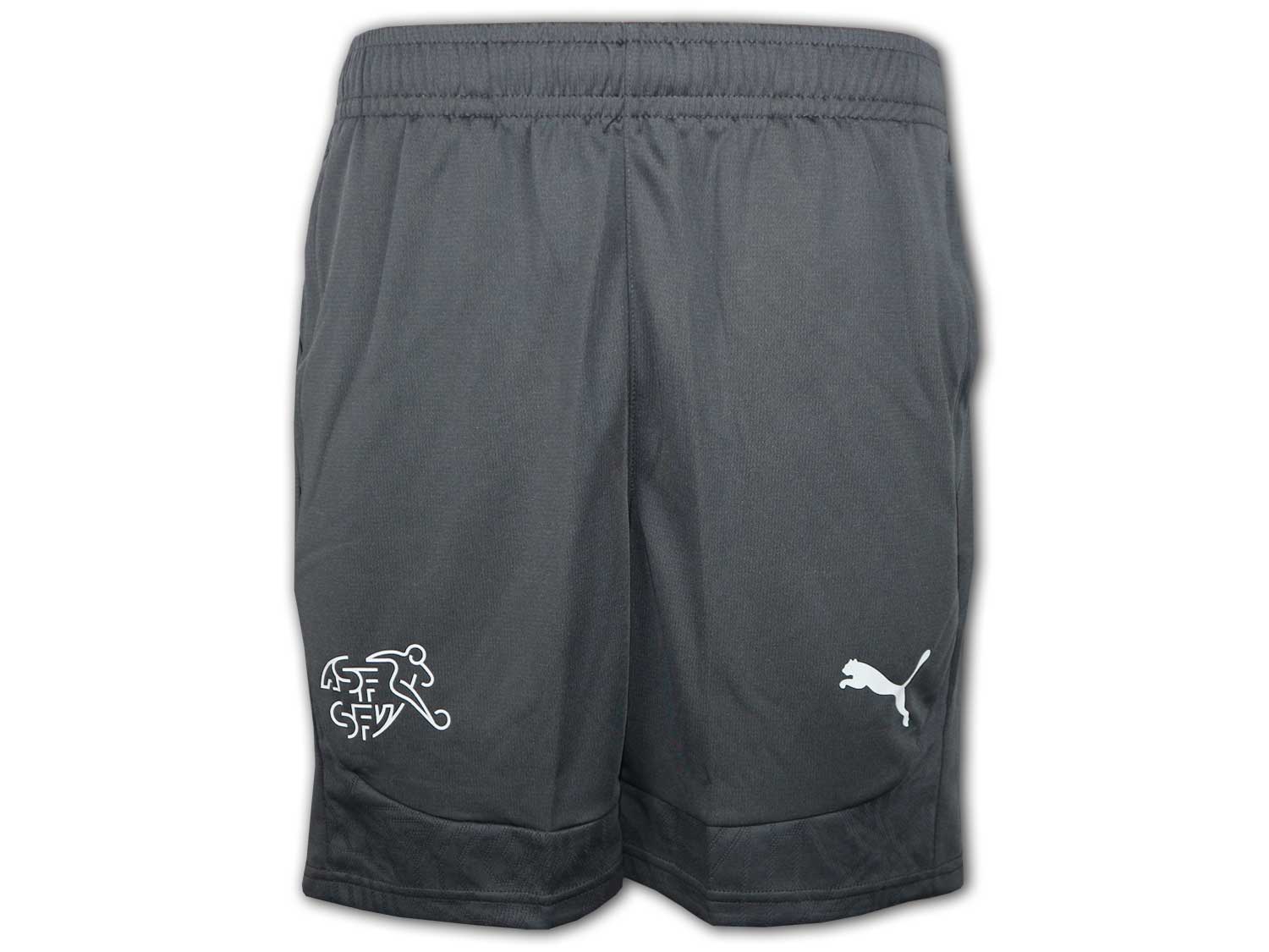 Puma SFV Schweiz Training Shorts 24