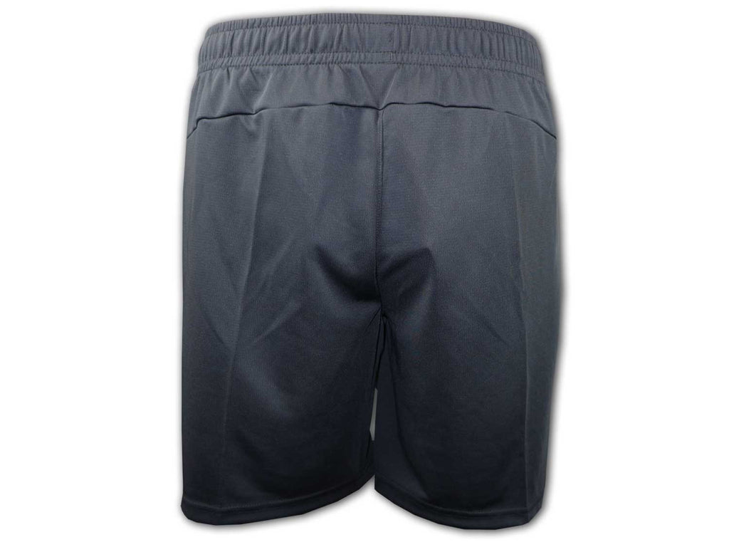 Puma SFV Schweiz Training Shorts 24