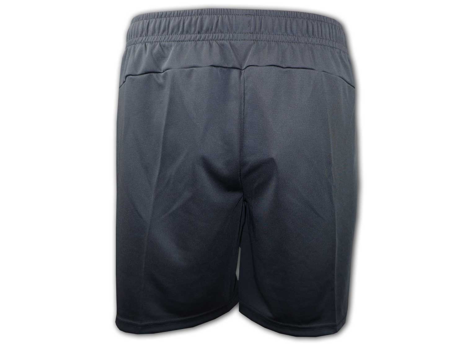 Puma SFV Schweiz Training Shorts 24