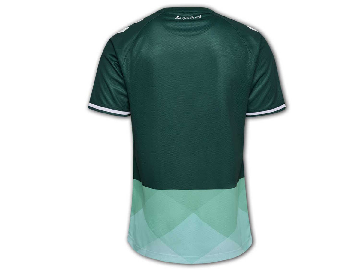 Hummel SSV Jahn Regensburg Ausweichtrikot 24 25