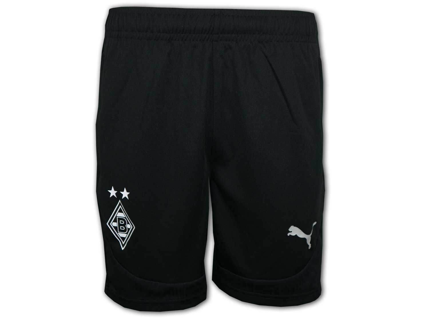 Puma Borussia Mönchengladbach Training Shorts