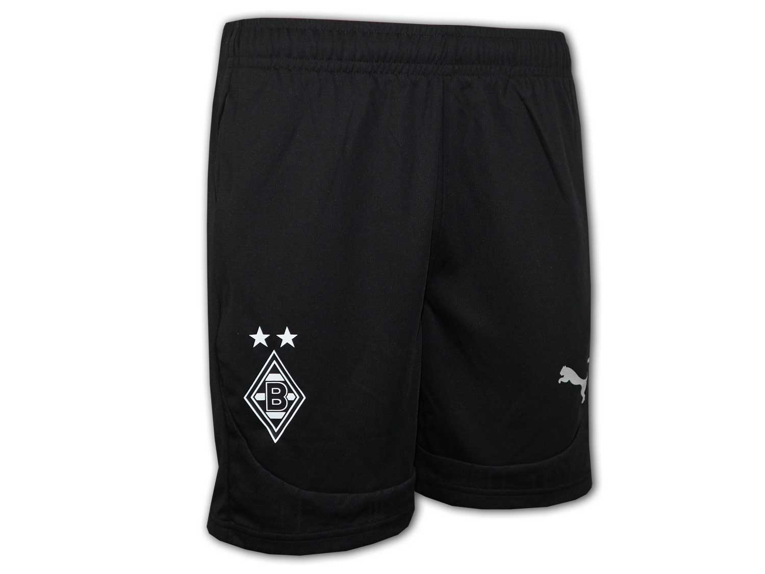 Puma Borussia Mönchengladbach Training Shorts