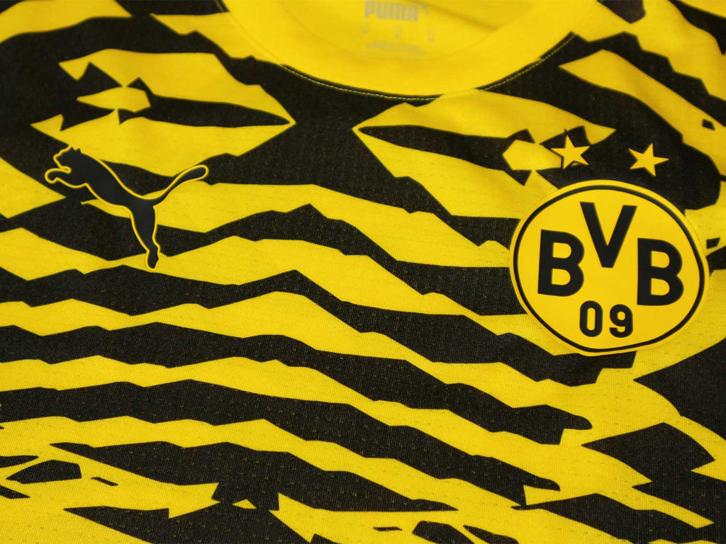 Puma BVB Prematch Jersey 24 25