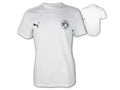 Puma BVB Essential T-Shirt Jr.