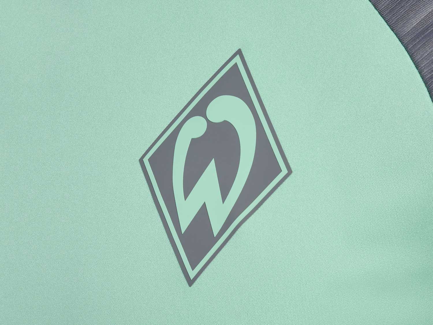 Hummel Werder Bremen Training Pro Jersey 24 25