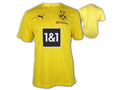 Puma BVB Training Jersey 24 25
