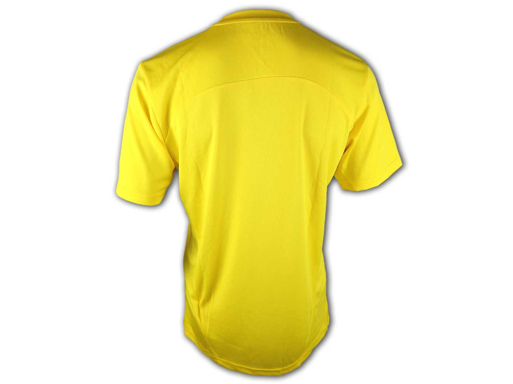 Puma BVB Training Jersey 24 25