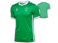 Hummel AS St.Etienne Heimtrikot 24 25
