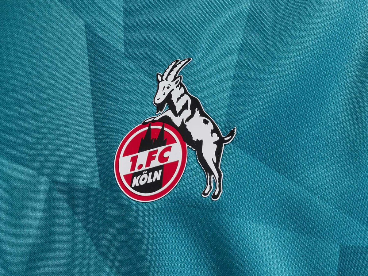 Hummel 1. FC Köln Warm Up Crew Neck LS Shirt 24 25