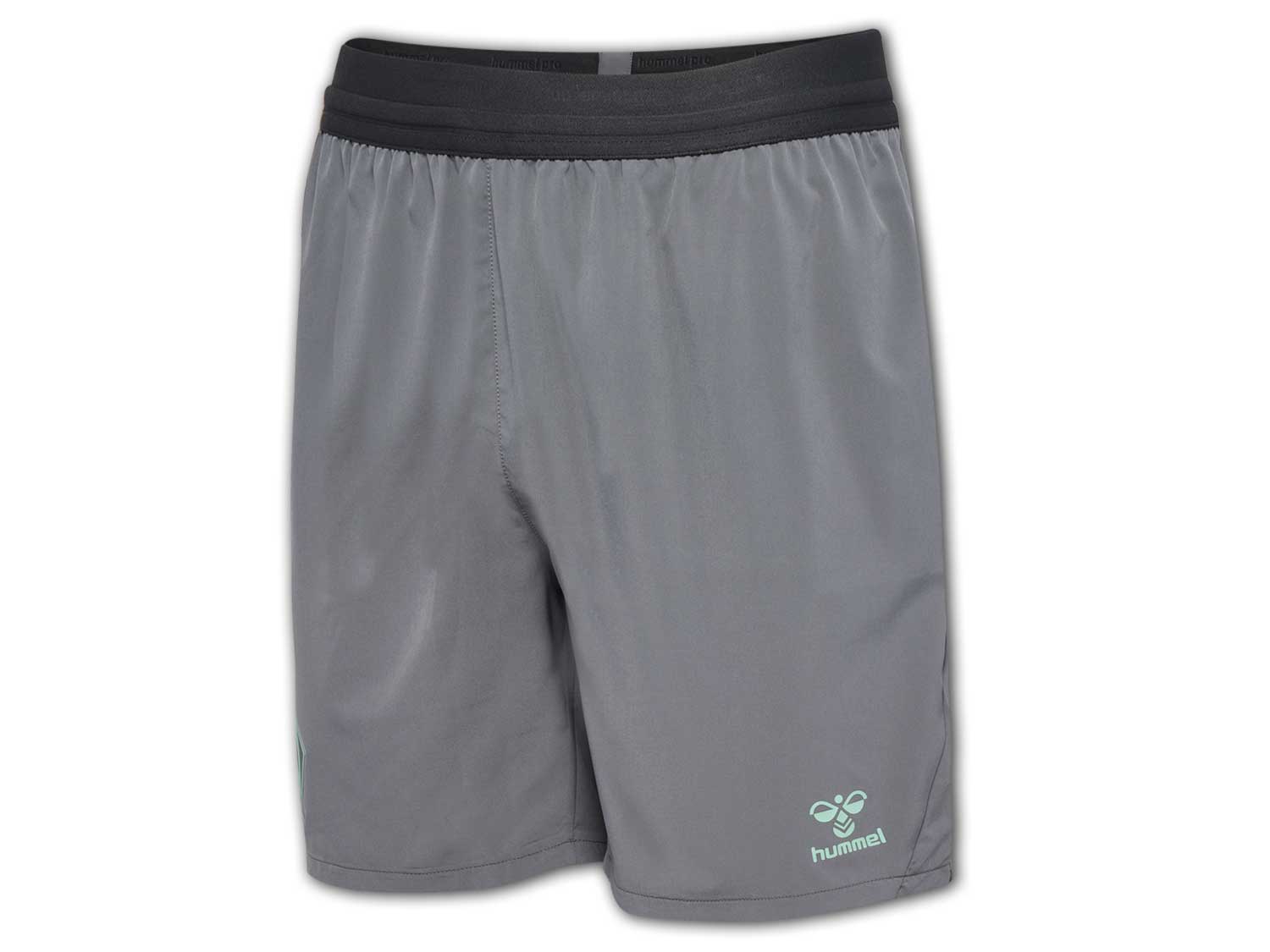 Hummel Werder Bremen Training Pro Short 24 25