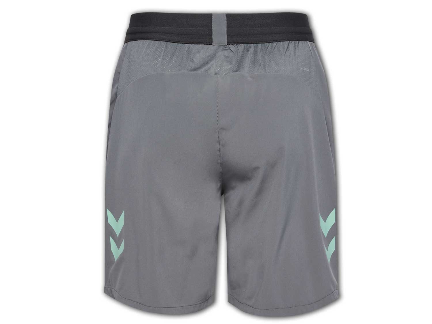 Hummel Werder Bremen Training Pro Short 24 25