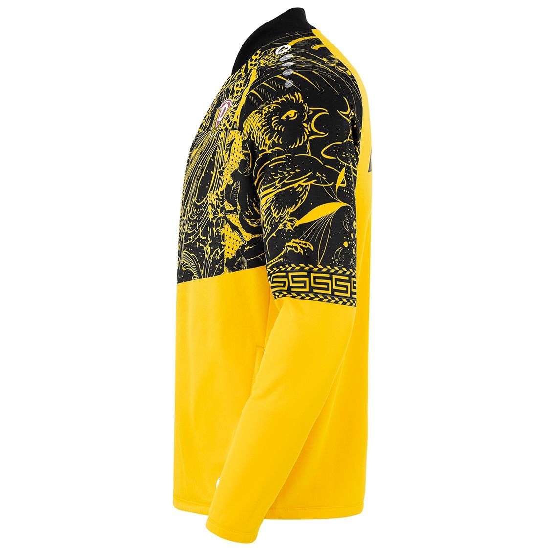 Jako Dynamo Dresden Einlaufjacke 25 26