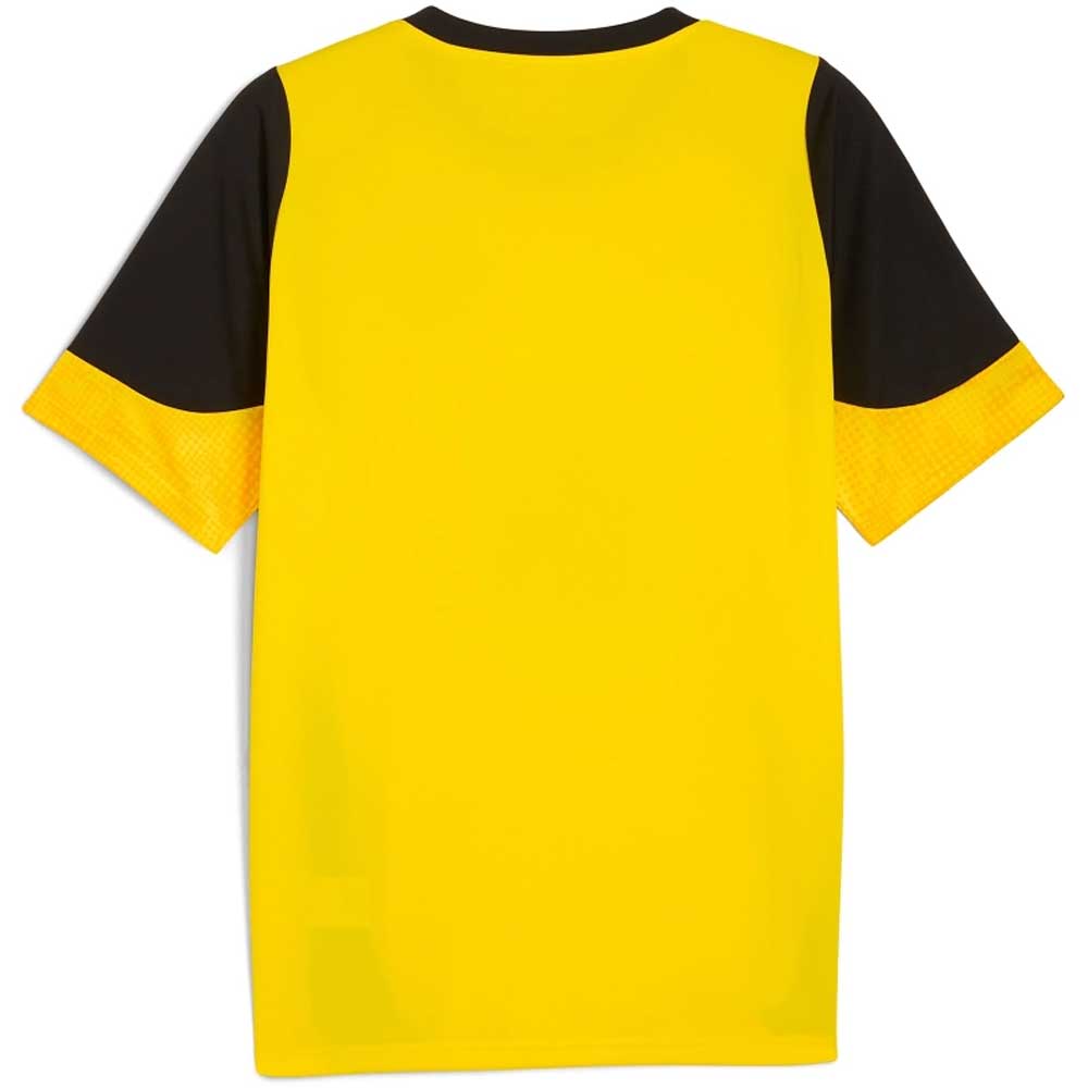Puma BVB Training Jersey 25 26