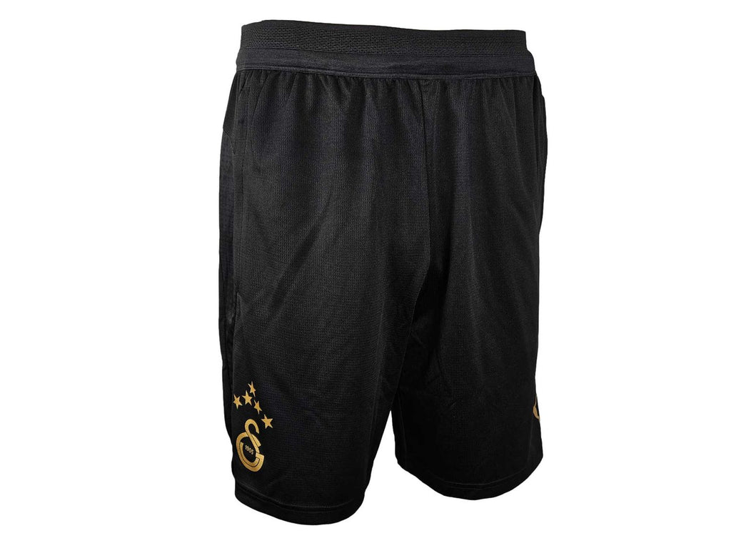 Puma Galatasaray Istanbul Training Shorts 25 26
