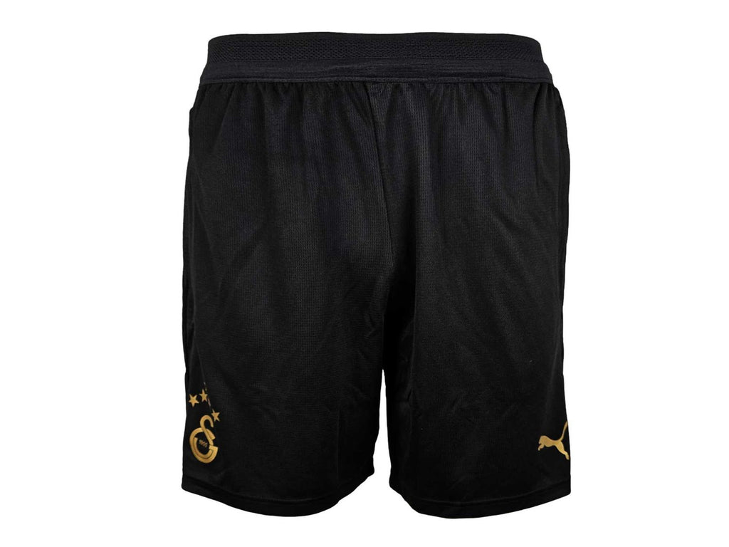 Puma Galatasaray Istanbul Training Shorts 25 26