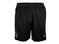 Puma Galatasaray Istanbul Training Shorts 25 26