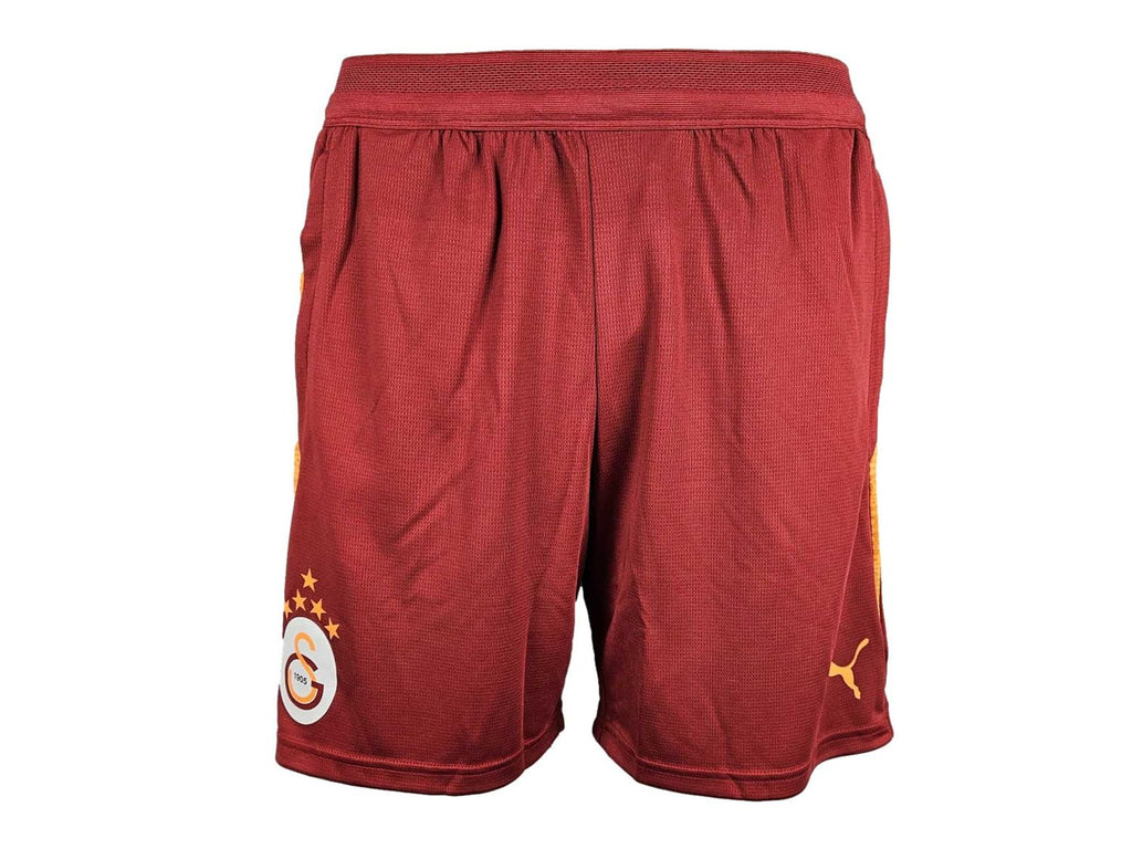 Puma Galatasaray Istanbul Training Shorts 25 26