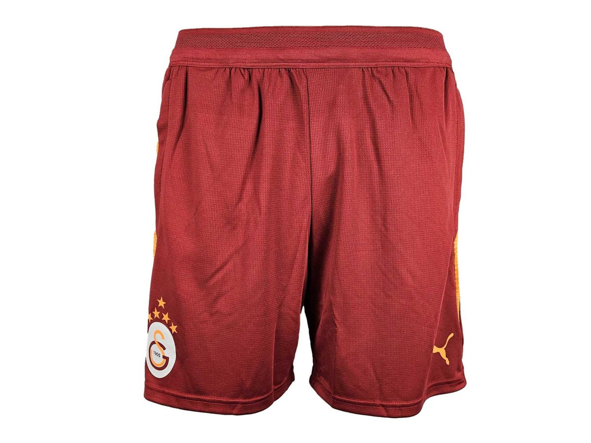 Puma Galatasaray Istanbul Training Shorts 25 26