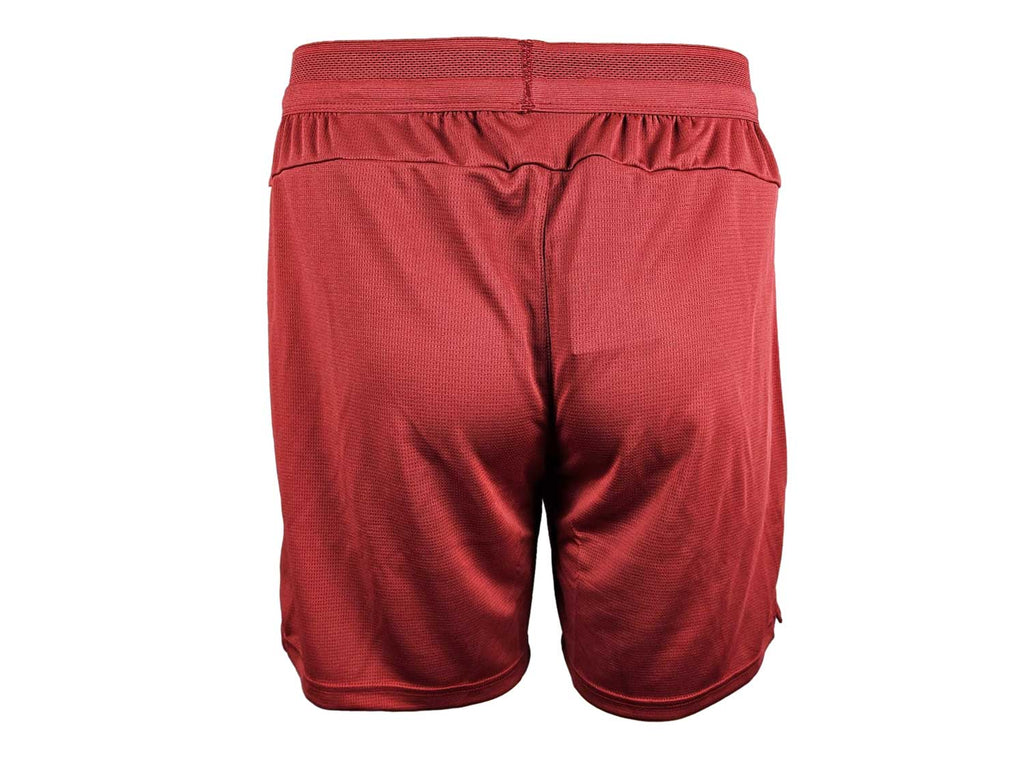 Puma Galatasaray Istanbul Training Shorts 25 26