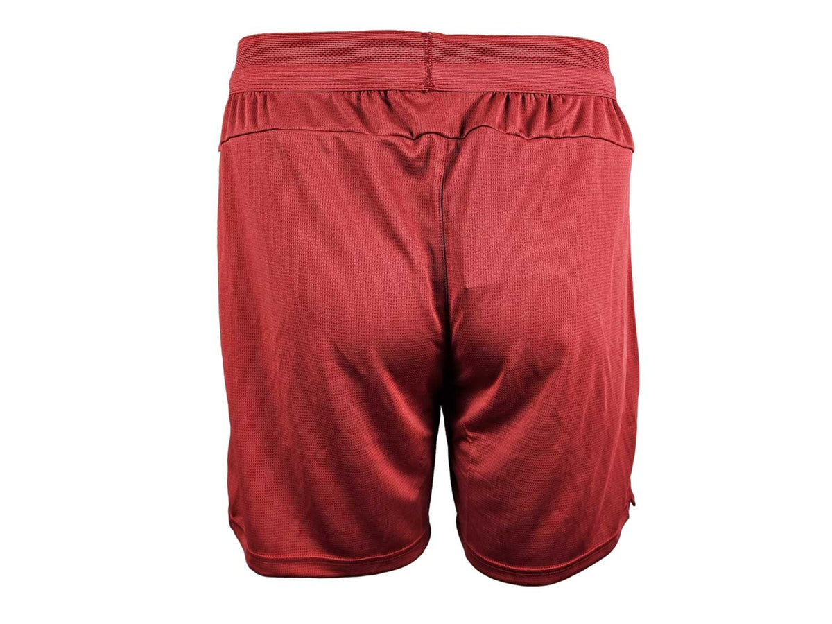 Puma Galatasaray Istanbul Training Shorts 25 26