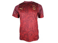 Puma Galatasaray Istanbul Training Jersey 25 26