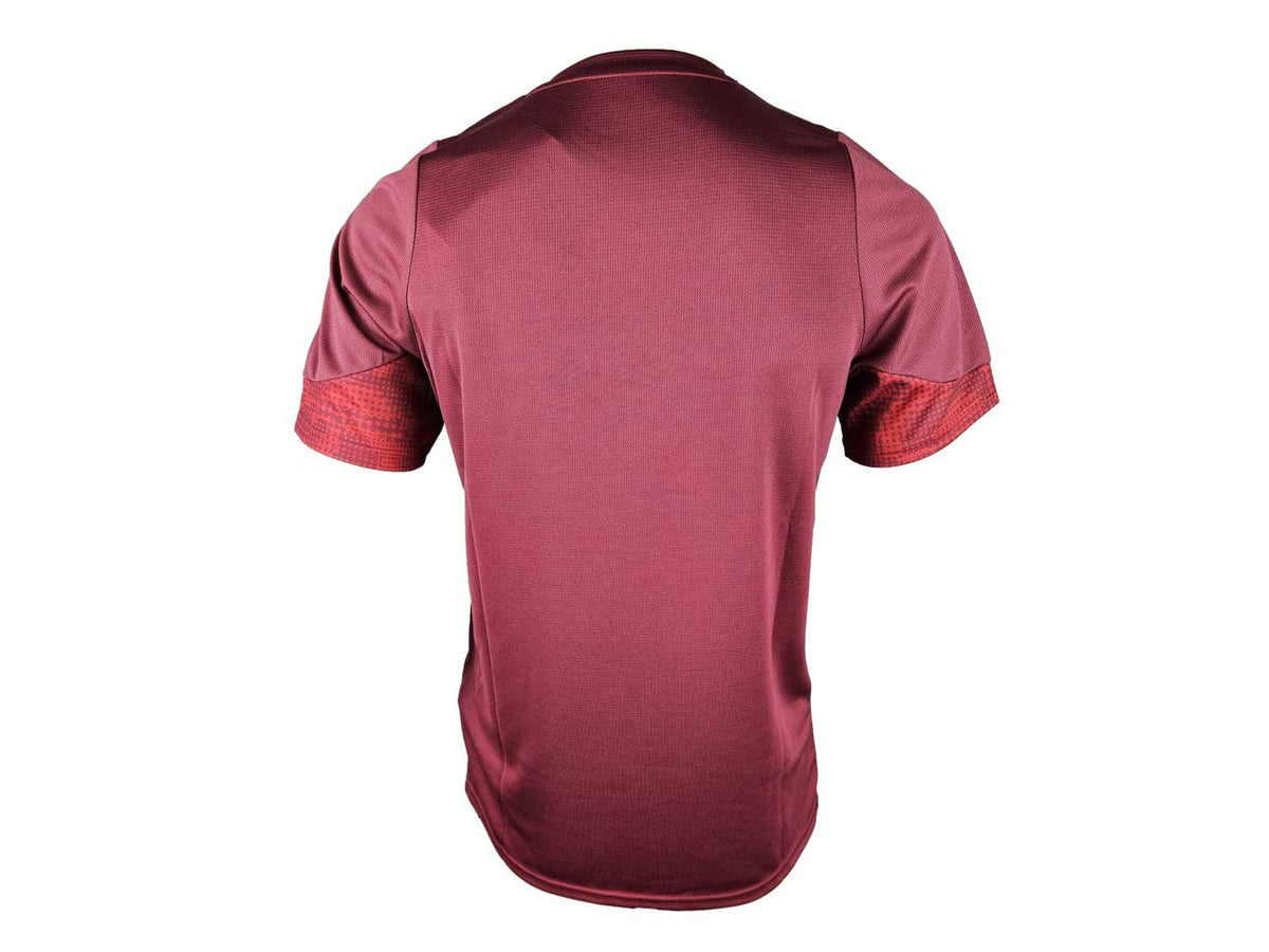 Puma Galatasaray Istanbul Training Jersey 25 26