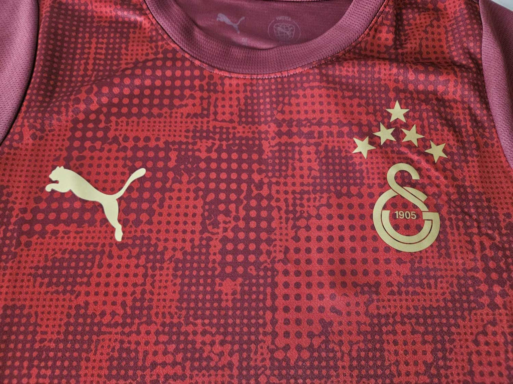 Puma Galatasaray Istanbul Training Jersey 25 26