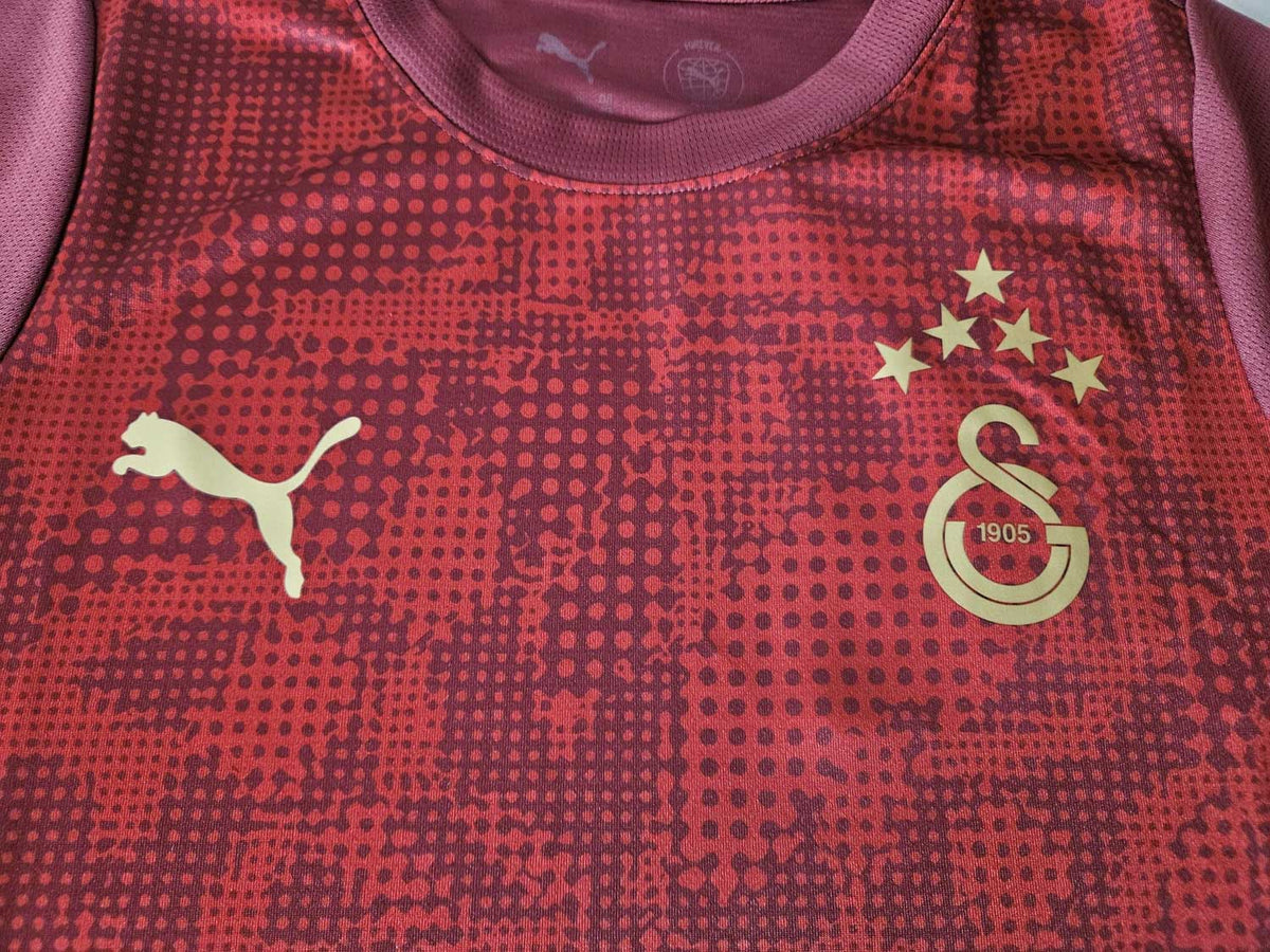Puma Galatasaray Istanbul Training Jersey 25 26