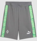 Puma Borussia M´ Gladbach ftblKing Sweat Shorts
