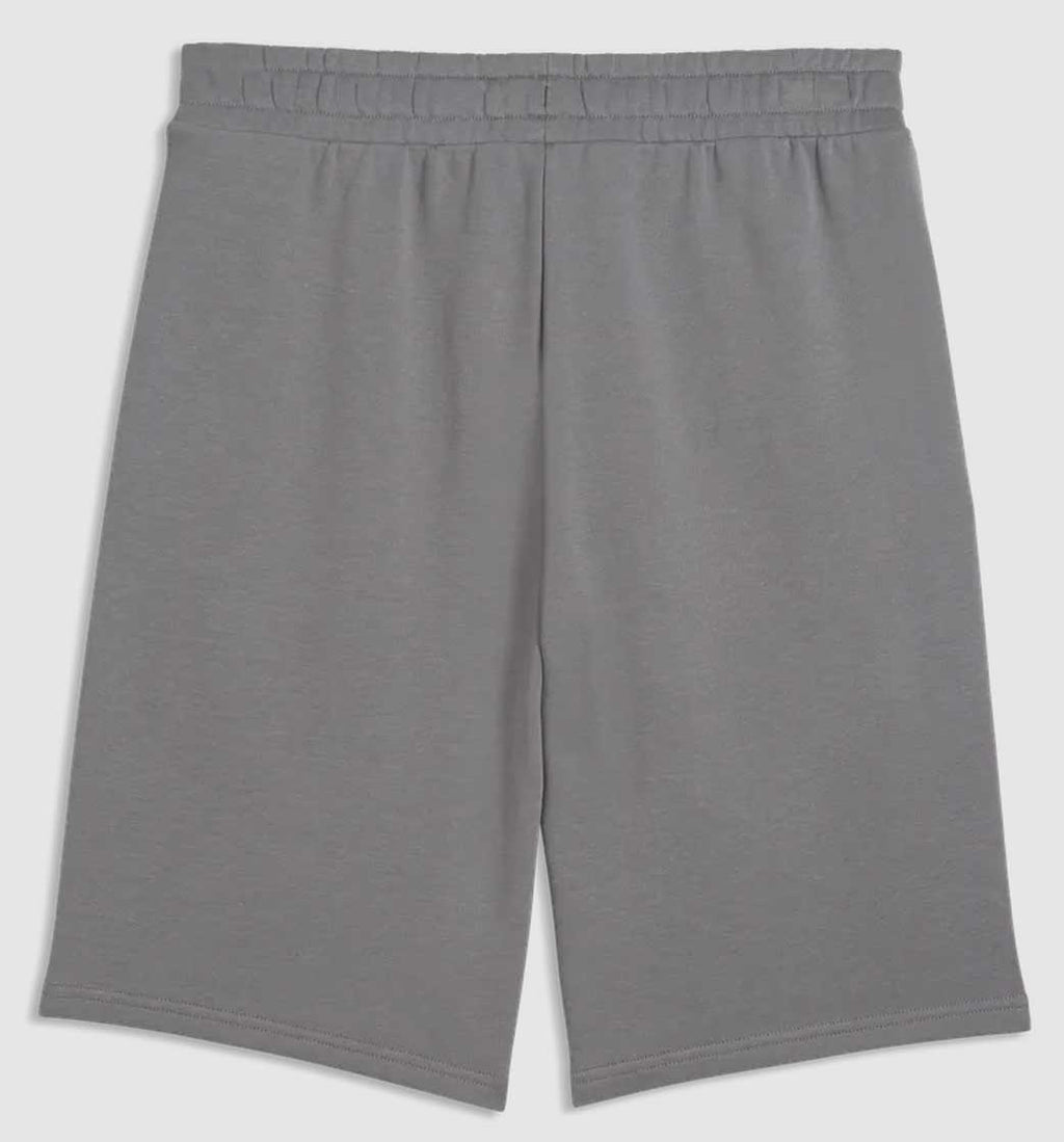 Puma Borussia M´ Gladbach ftblKing Sweat Shorts