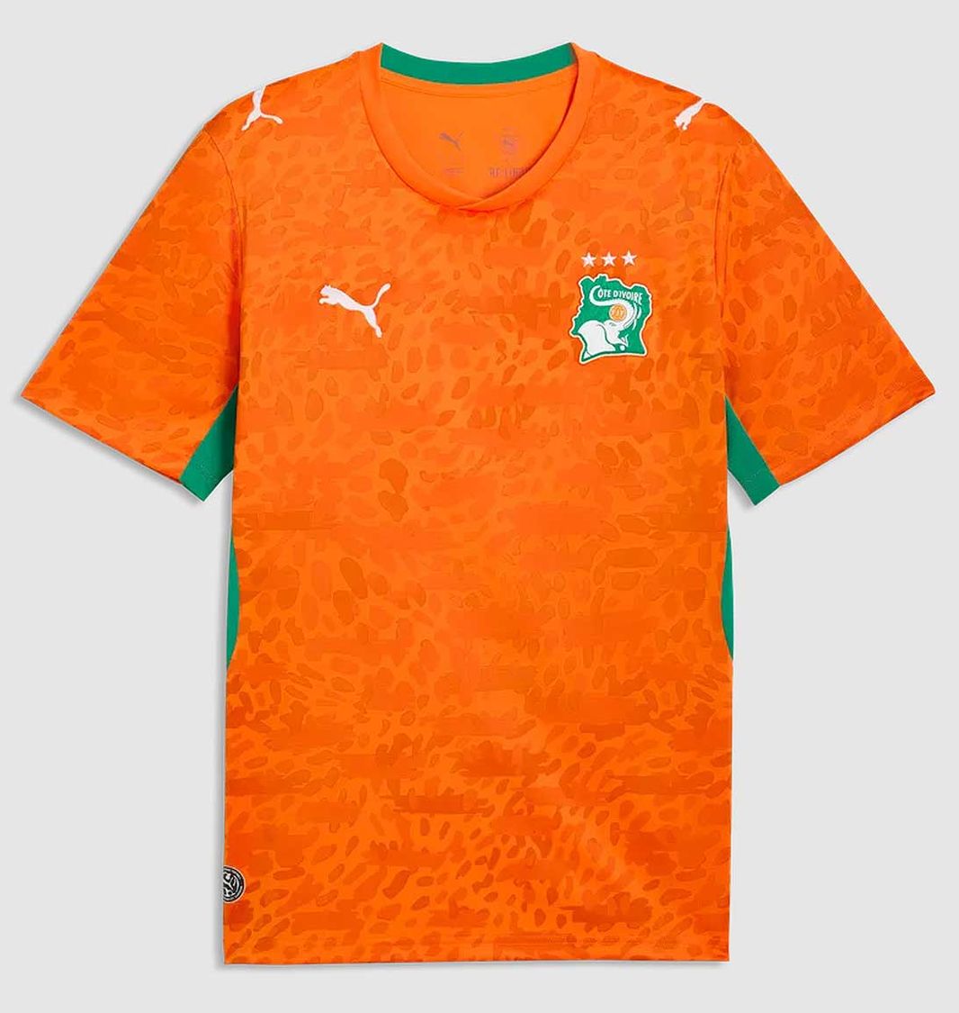 Puma FIF Elfenbeinküste Heimtrikot 26