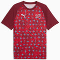 Puma SFV Schweiz WarmUp Jersey 26
