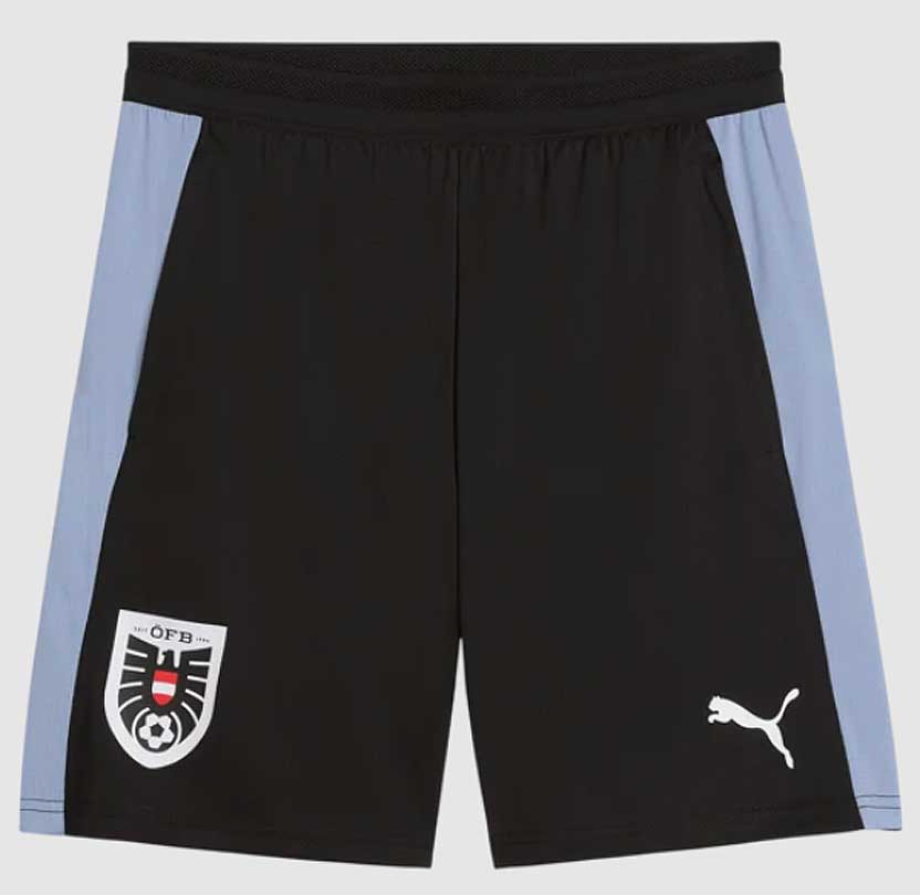 Puma ÖFB Österreich Training Shorts 26