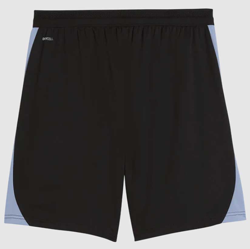Puma ÖFB Österreich Training Shorts 26
