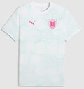Puma ÖFB Österreich ftblCulture Tee AOP