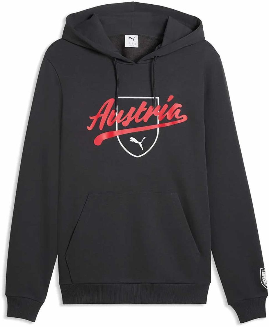 Puma ÖFB ftblCulture Hoodie
