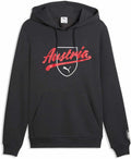 Puma ÖFB ftblCulture Hoodie