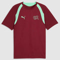 Puma SFV Schweiz Training Jersey 26