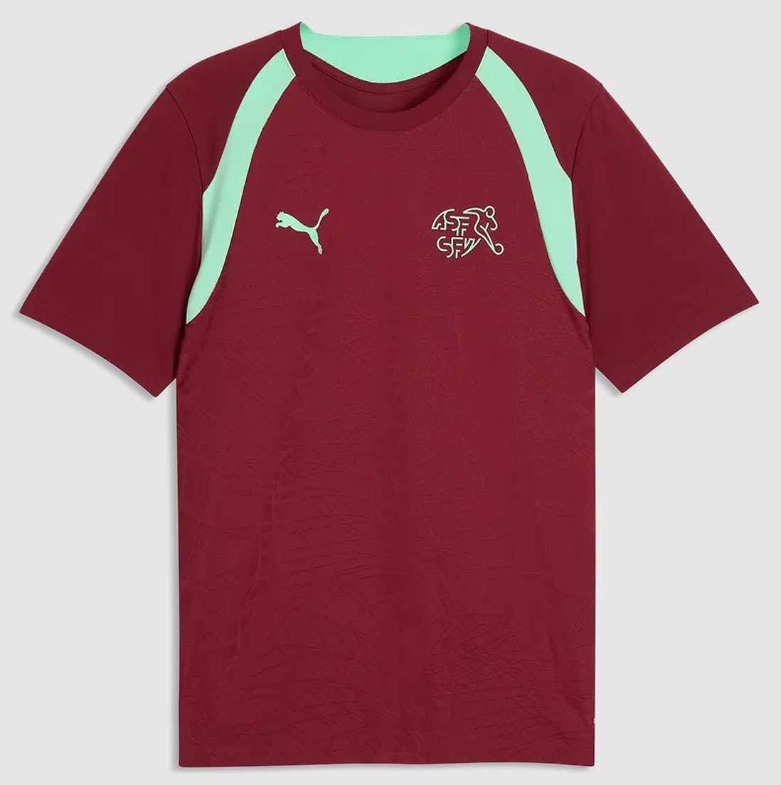 Puma SFV Schweiz Training Jersey 26