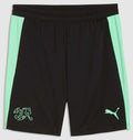 Puma SFV Schweiz Training Shorts 26